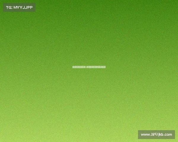 阿森纳重塑辉煌之路 穿越挑战与变革重返英超巅峰